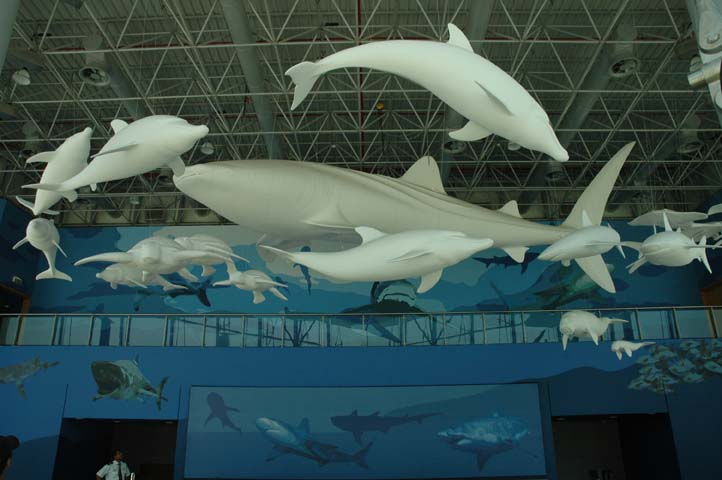 Blue Fish